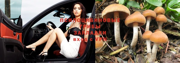 jwh Гвардейск