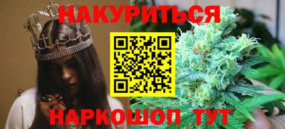 прущие грибы Краснознаменск