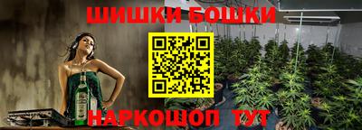 прущие грибы Краснознаменск
