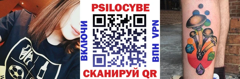 Галлюциногенные грибы Psilocybe  Донской 