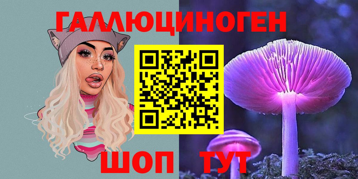 Псилоцибиновые грибы MAGIC MUSHROOMS  сколько стоит  Донской  Вход с VPN  Псилоцибиновые грибы MAGIC MUSHROOMS 