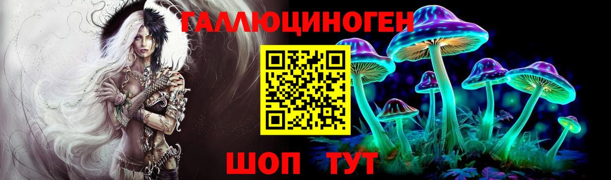 Псилоцибиновые грибы GOLDEN TEACHER Донской